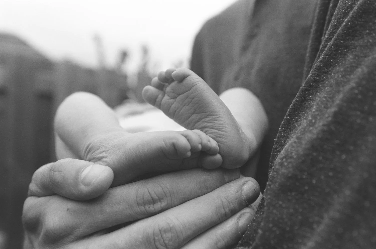 Petits pieds de nouveau-né délicatement tenus dans les mains d un parent en noir et blanc