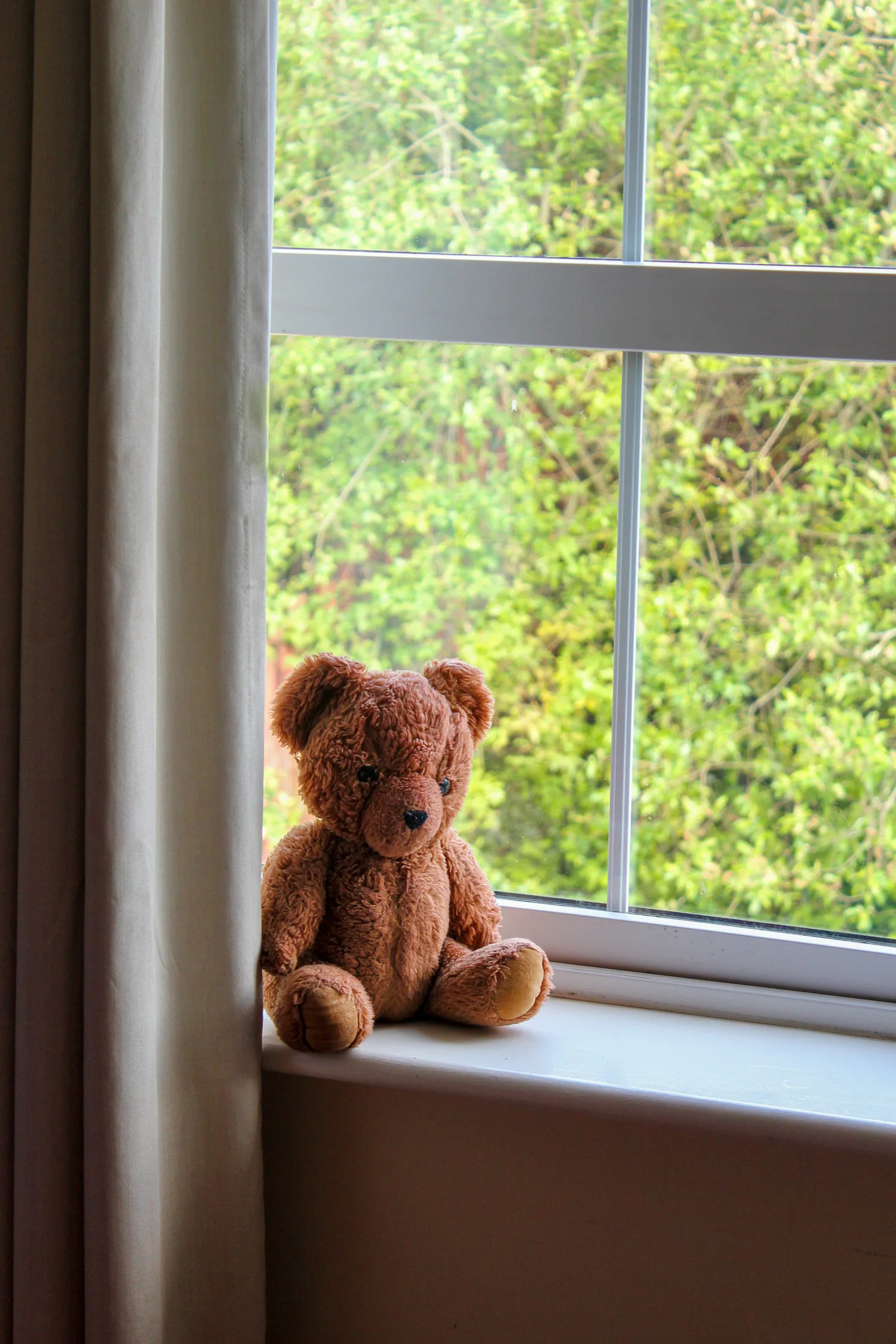 Petit ours en peluche marron posé sur un rebord de fenêtre devant un jardin vert